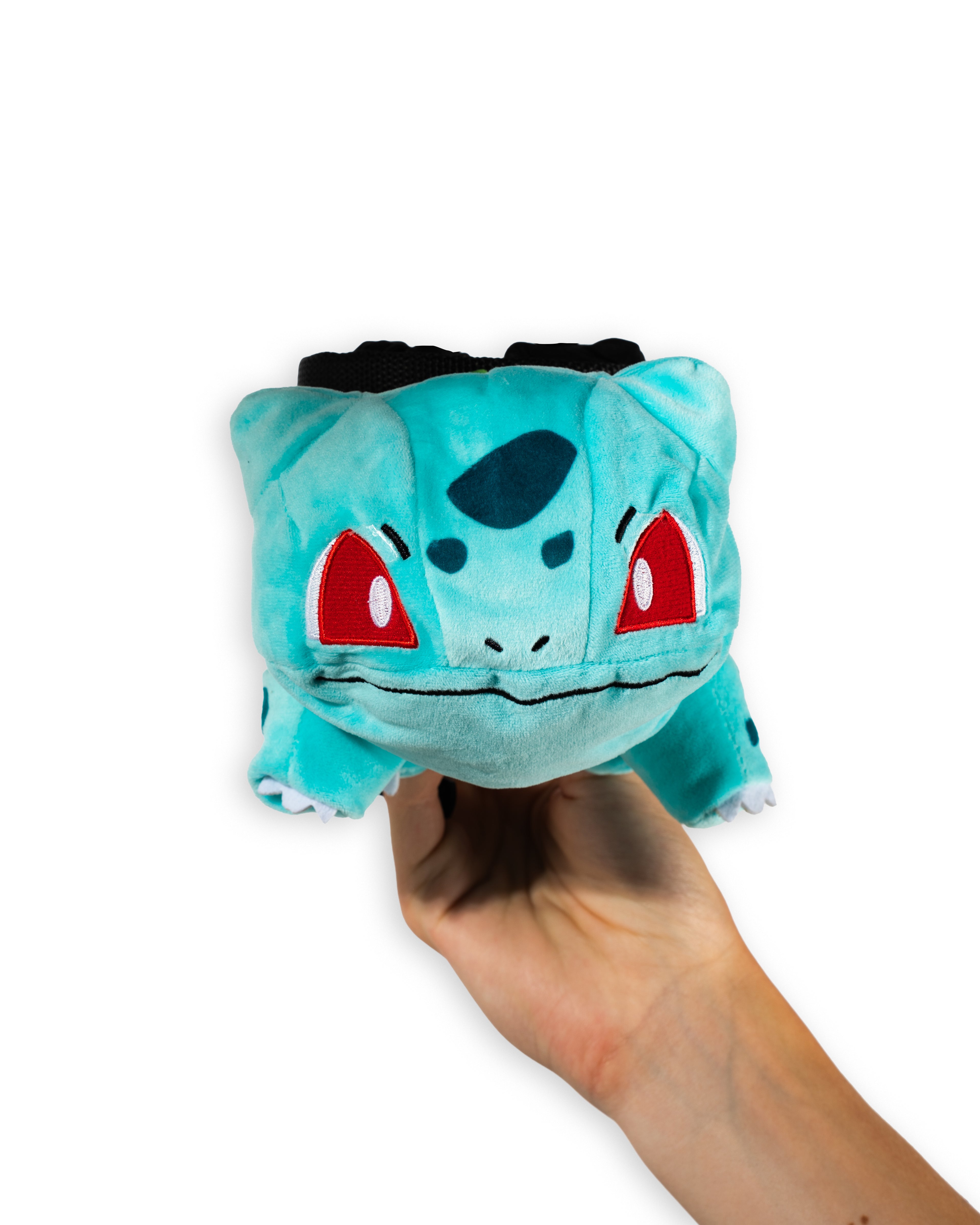 Bulbasaur Inspired Chalk Bag