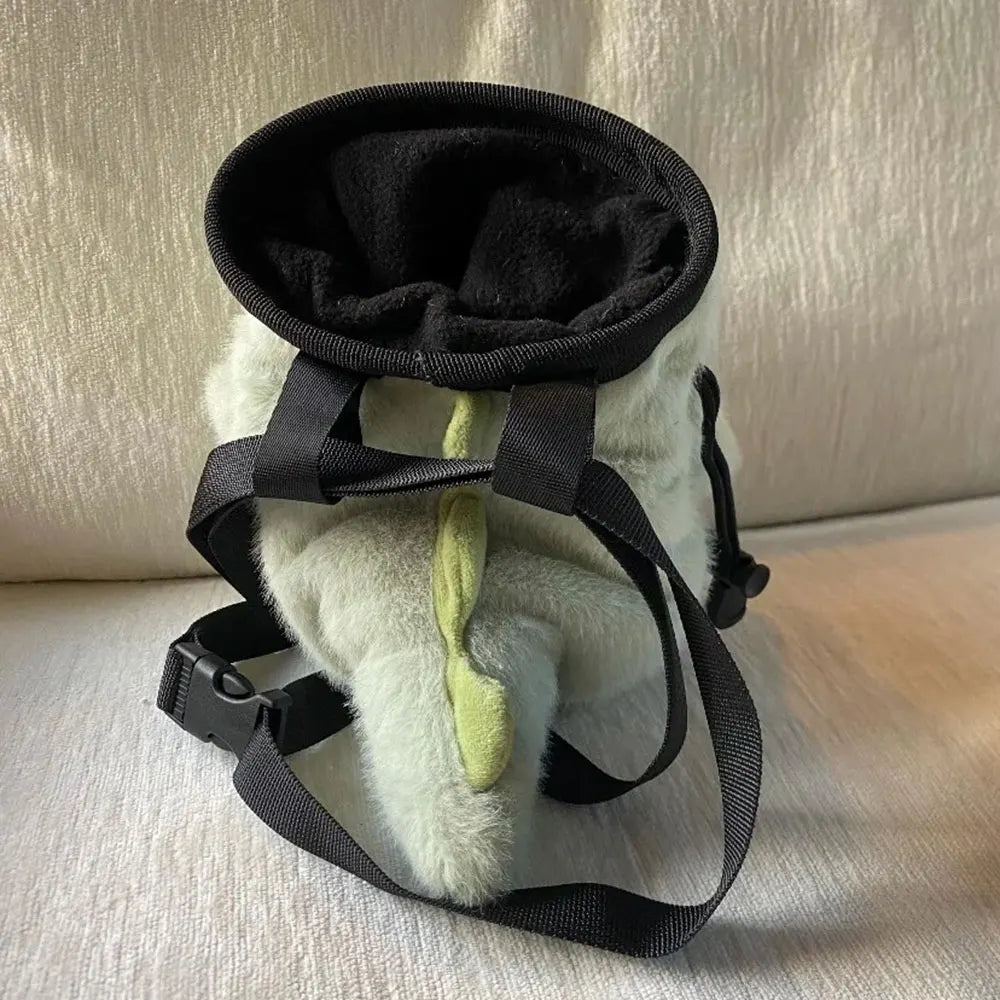 Cute Dinosaur Chalk Bag